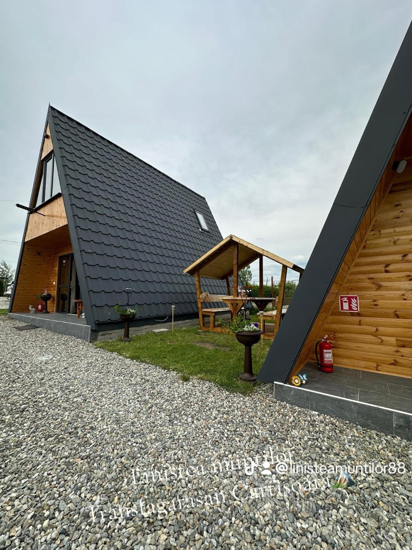 Campsite Linistea Muntilor Cartioasra